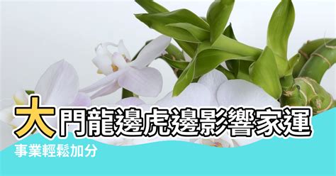 大樓龍邊虎邊|【龍虎邊怎麼分】掌握風水秘訣！「龍虎邊」怎麼分？。